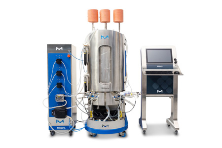 Scalability From Mobius 3 L Single-Use Bioreactor To 50-2000 L Mobius ...