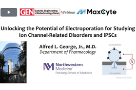 Unlocking the Potential of Electroporation for Studying Ion Channel-Related Disorders and iPSCs