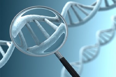 Food Genome Testing