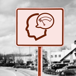 BIRoadblocks_LowData Literacy BIRoadblocks_LowData Literacy