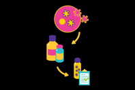 VirusExpress® Lentivirus Production Platform LV Feature