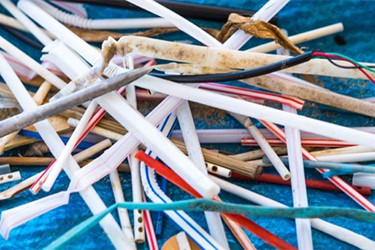 Plastic Straws And One-Use Plastics Harming The Water System Plastic Straws And One-Use Plastics Harming The Water System
