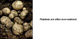 Bright, Green Potatoes Bright, Green Potatoes