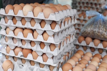 FDA Recall of Salmonella-Tainted Egg Products