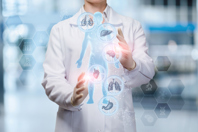 A Study To Assess Organoid Size And Cell Count From 3D Image Analysis Organs-body-organoid-study-GettyImages-1157550305
