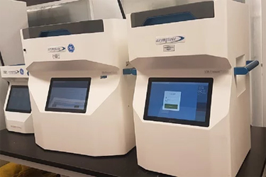 Cryopreservation of Cellular Therapies Cryopreservation of Cellular Therapies