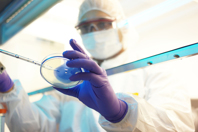 Early Plasmid Optimization For Long-Term Commercial Success GettyImages-517743436-plasmid-dna-development-lab