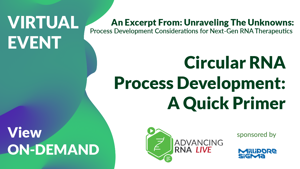 Circular RNA Process Development: A Quick Primer