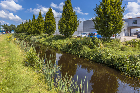Promoting Natural Solutions For Urban Stormwater Management - Vimarsana News