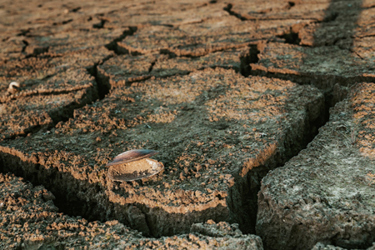 drought, climate change-GettyImages-2184006709 drought, climate change-GettyImages-2184006709