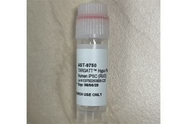 TARGATT™ RUO Hypo Plus Human iPSC