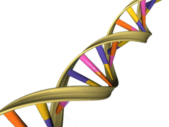 DNA_public_domain DNA_public_domain