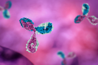 Antibody-drug-human-system-GettyImages-824641956