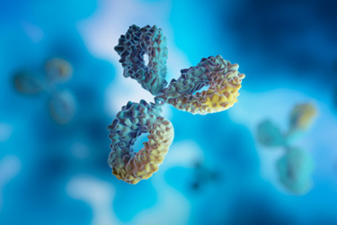 GettyImages-1409877704-antibody GettyImages-1409877704-antibody
