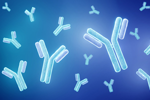 Antibody antibodies GettyImages-1356994686