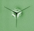 nanoindent nanoindent