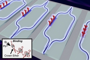 MIT Lead Detection