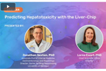Predicting Hepatotoxicity with the Liver-Chip