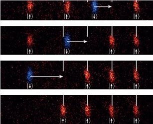 Sorting Machine For Atoms