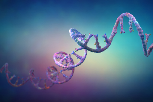 protein bio-synthesis GettyImages-1355122387