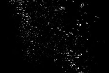 iStock-1091415986 iStock-1091415986