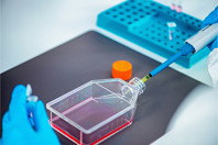 Redefining T Cell Culture Media GettyImages-2173307719 cell culture flask