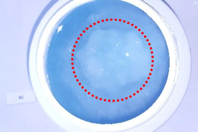 How Blast Freezing Affects The Quality Of Bottled Drug Substance: Test Results And Insights SUS - iceberg