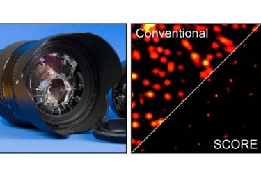 fluorescent nanoparticles