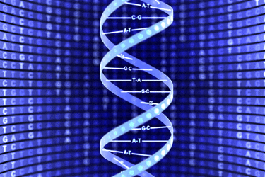 dna-sequence