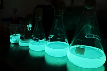 INFORS - BIOLUMINESCE_REGENERA[4].jpeg