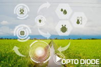 Environmental Sensing