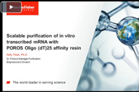 Scalable Purificaiton Of In Vitro Transcribed mRNA
