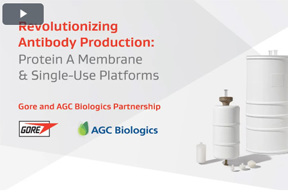 Revolutionizing antibody production
