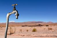 Making Every Drop Count During Drought And Fire Season iStock-842180048