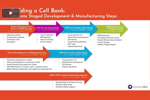 Cell Bank And Scale Up Strategies For MSC And Exosome Manufacturing RoosterBio - Cell Banking webinar