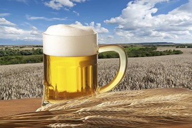 FSMA And Beer Brewers Hurt