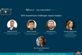 AAV Downstream Challenges Expert Insights AAV Downstream Challenges Expert Insights