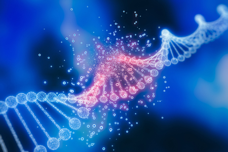 Preparative Anion Exchange Chromatography For The Purification Of 