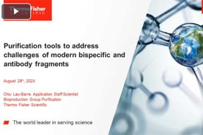 Purification Tools To Address Low Yield Challenges With Protein A Purification Tools To Address Low Yield Challenges With Protein A