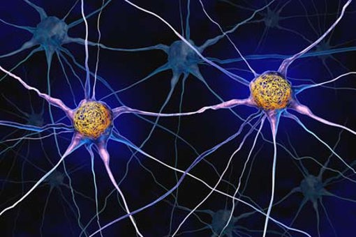 brain damage in Alzheimer’s disease-GettyImages-2236863702