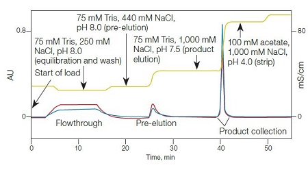 A cGMP-Ready Purification Process For Adenovirus Purification