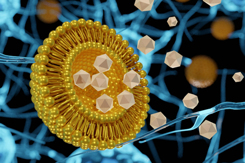 GettyImages-1410189348