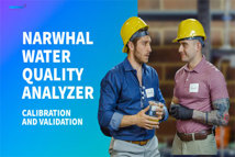narwhal-2