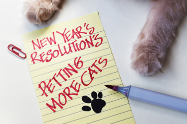 New Years Resolutions-GettyImages-1289531659