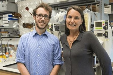 UConn scientists.jpg