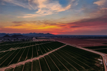thumbnail_GettyImages-1445563407_450x300 thumbnail_GettyImages-1445563407_450x300