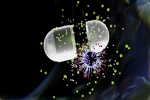 Simplifying-Adenoviral-Purification-GettyImages-1407089058