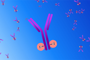 Roche IVGE - Opening Possibilities Glycosylation