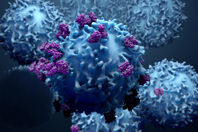 Cells-cancer-cells-iStock-1139782423