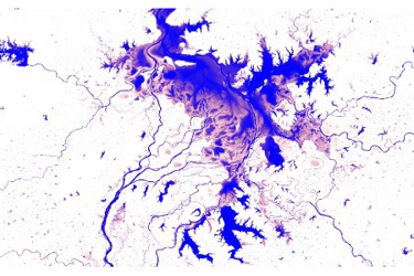 The European Commission
